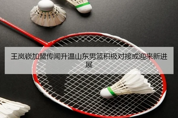 王岚嵚加盟传闻升温山东男篮积极对接或迎来新进展